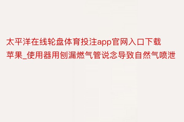 太平洋在线轮盘体育投注app官网入口下载苹果_使用器用刨漏燃气管说念导致自然气喷泄